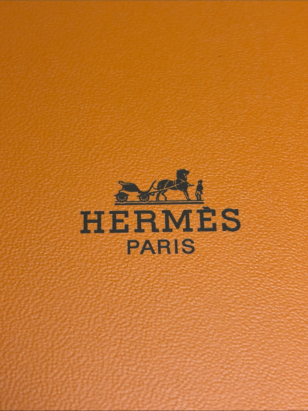 Hermes Empty Large Shoe Box With Ribbon - Picture 5 of 10